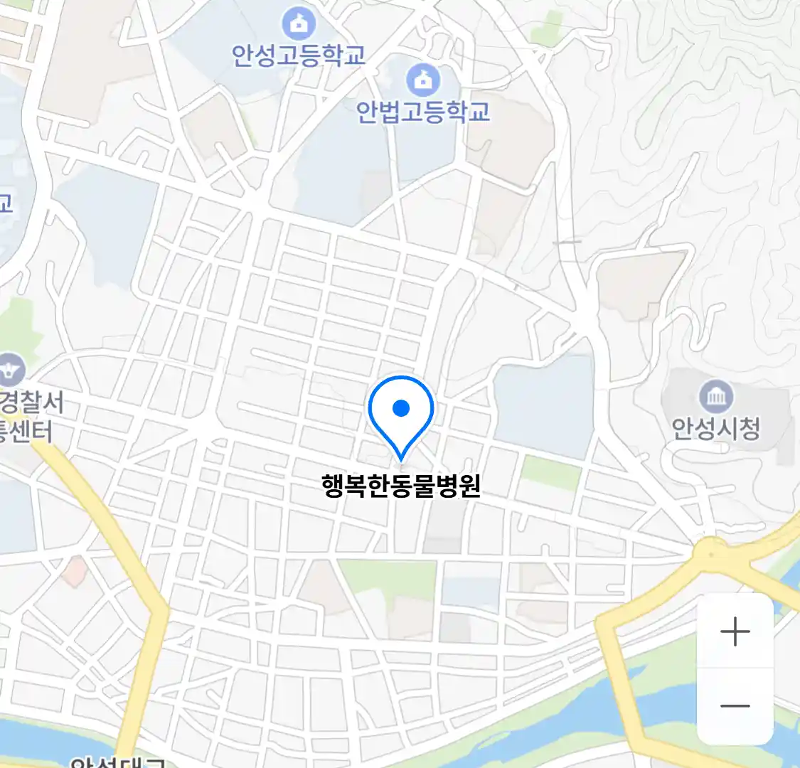 행복한동물병원