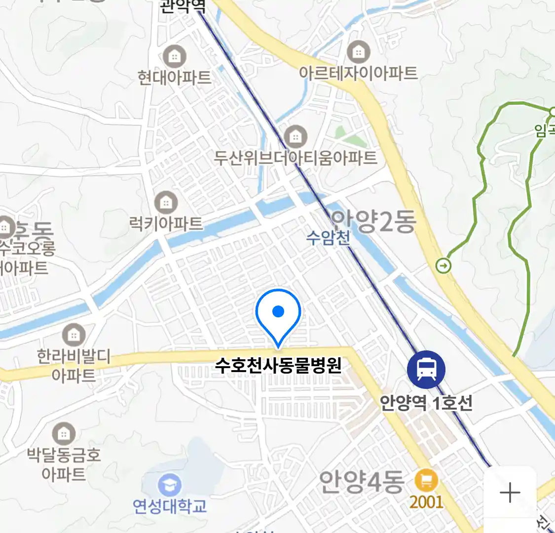 수호천사동물병원