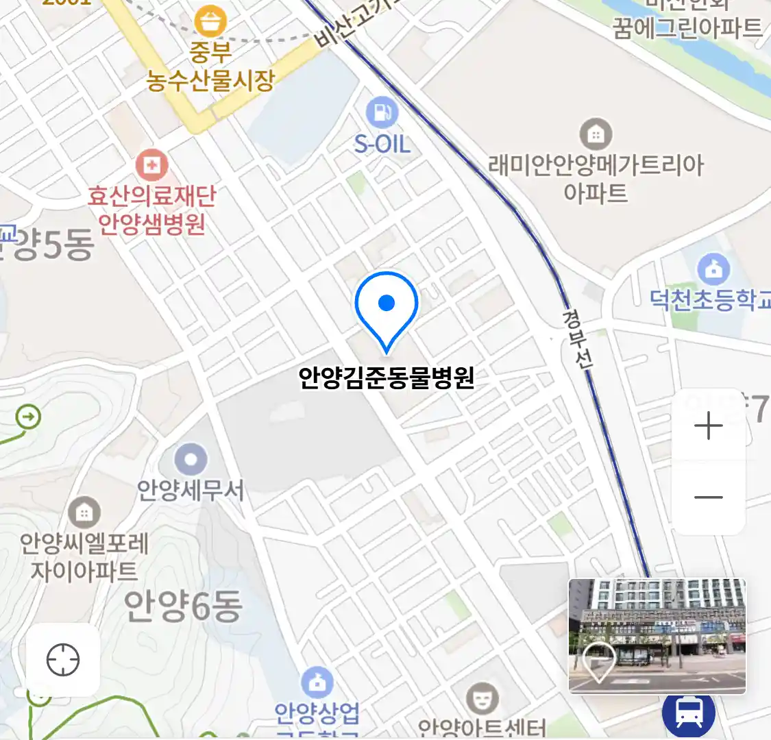 안양김준동물병원