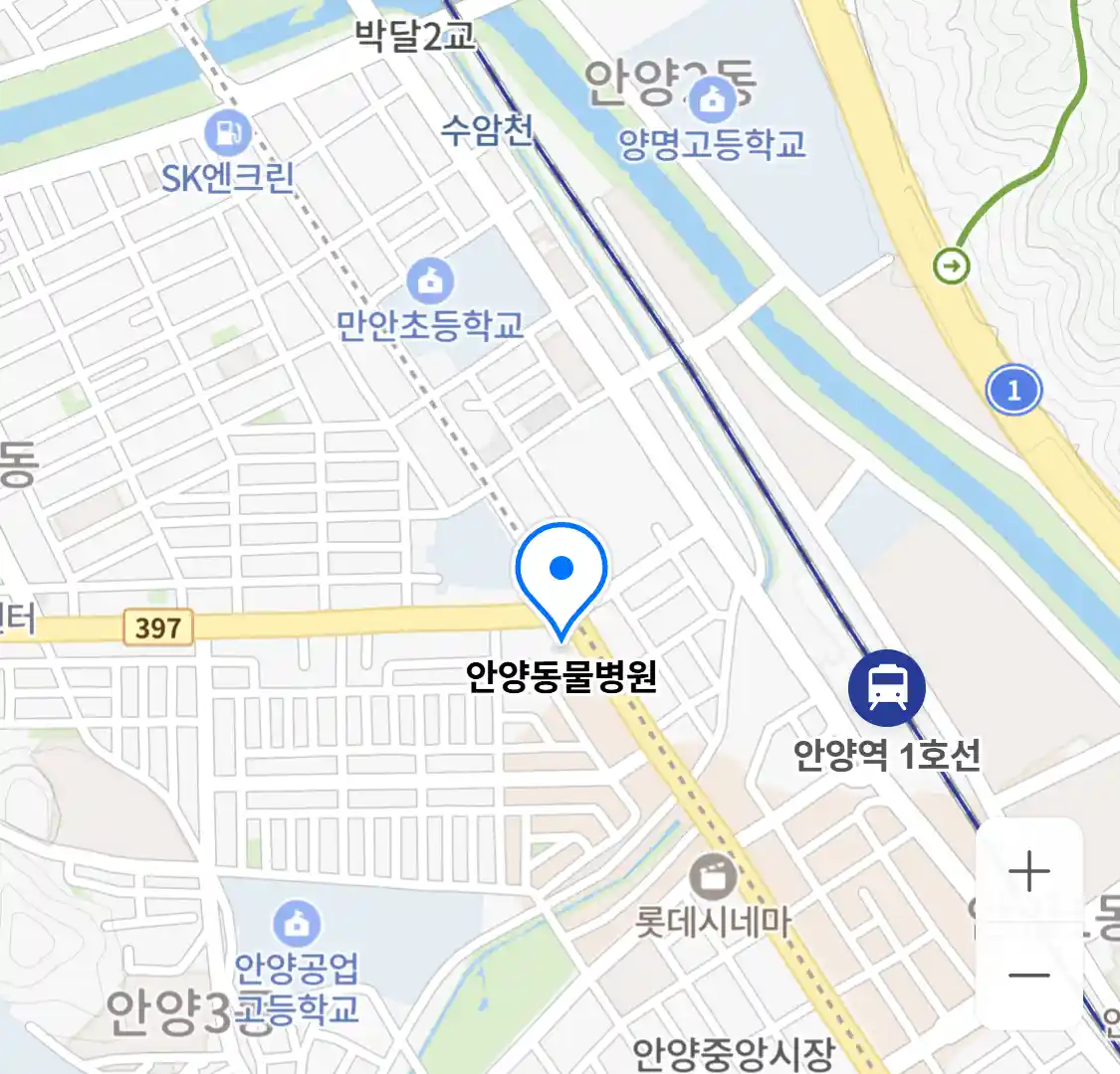 안양동물병원