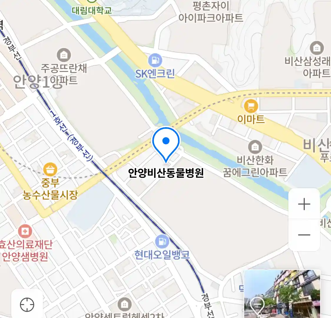 안양비산동물병원