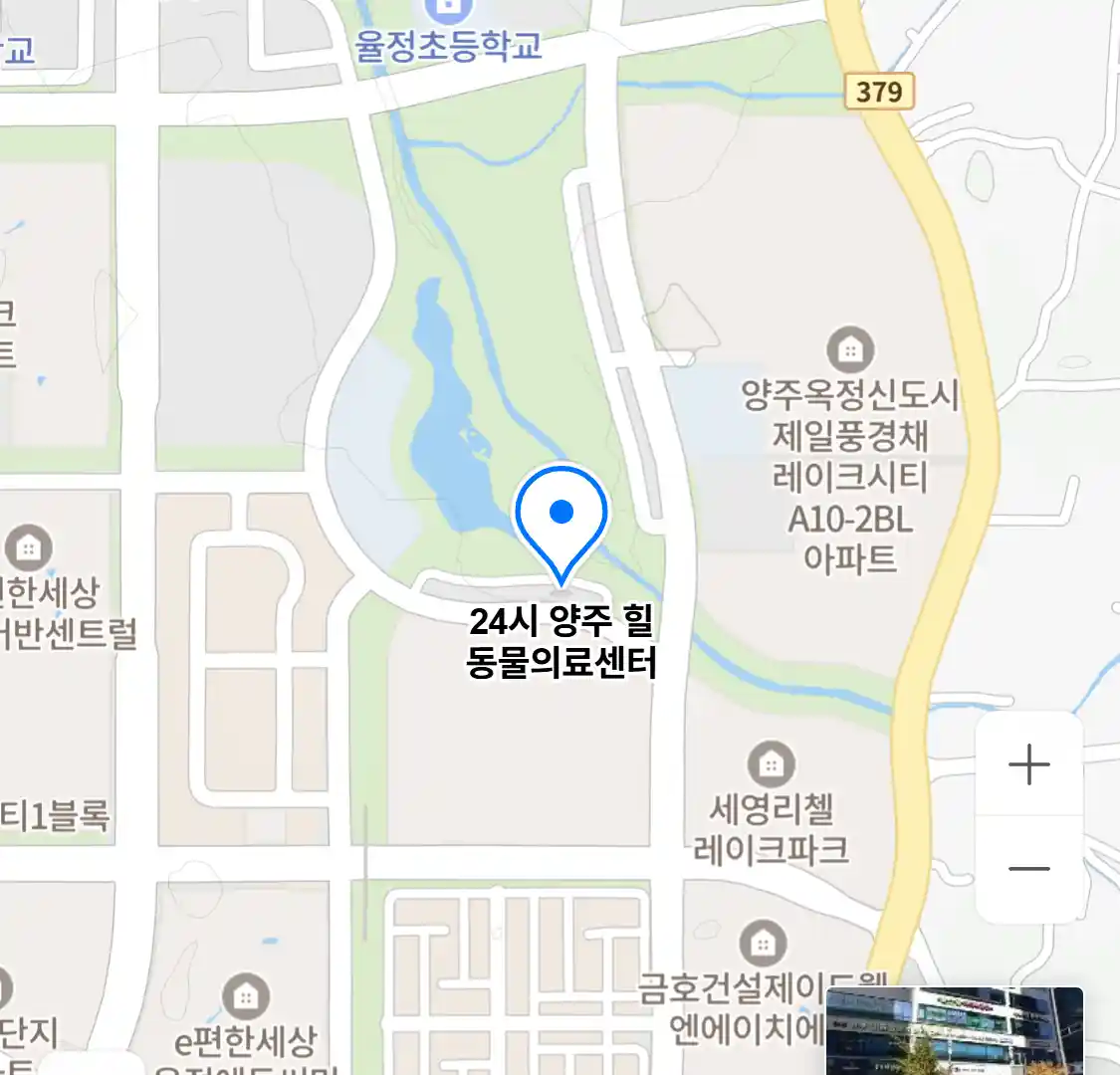 24시 양주 힐 동물의료센터