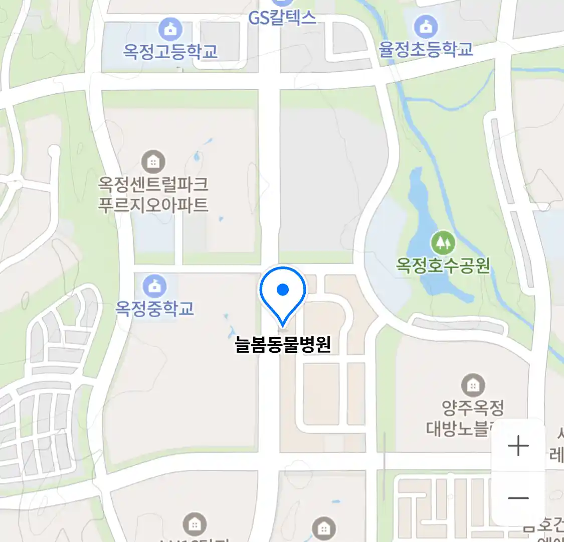 늘봄동물병원