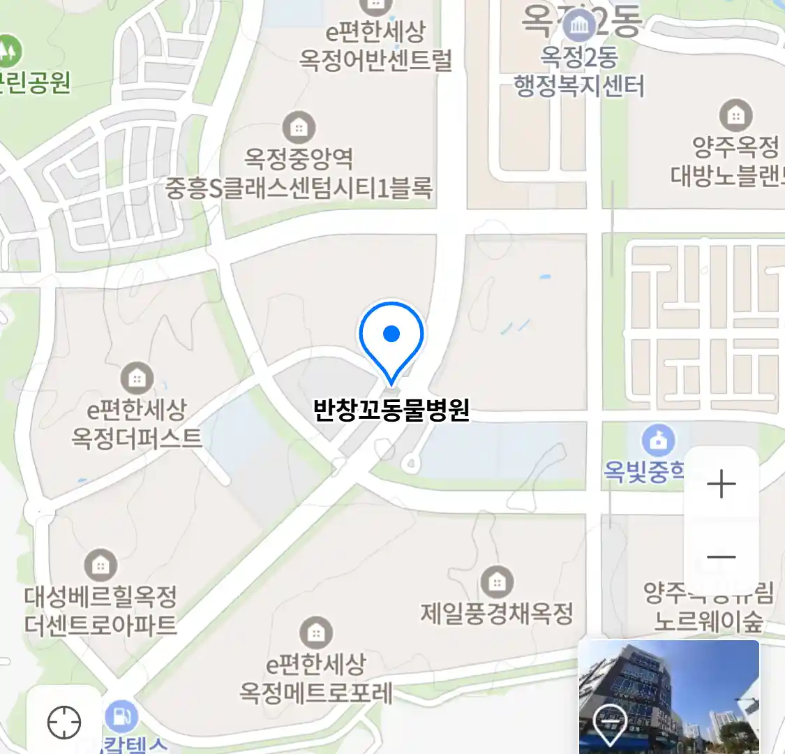 반창꼬동물병원