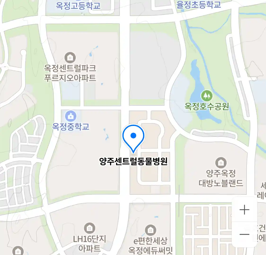 양주센트럴동물병원