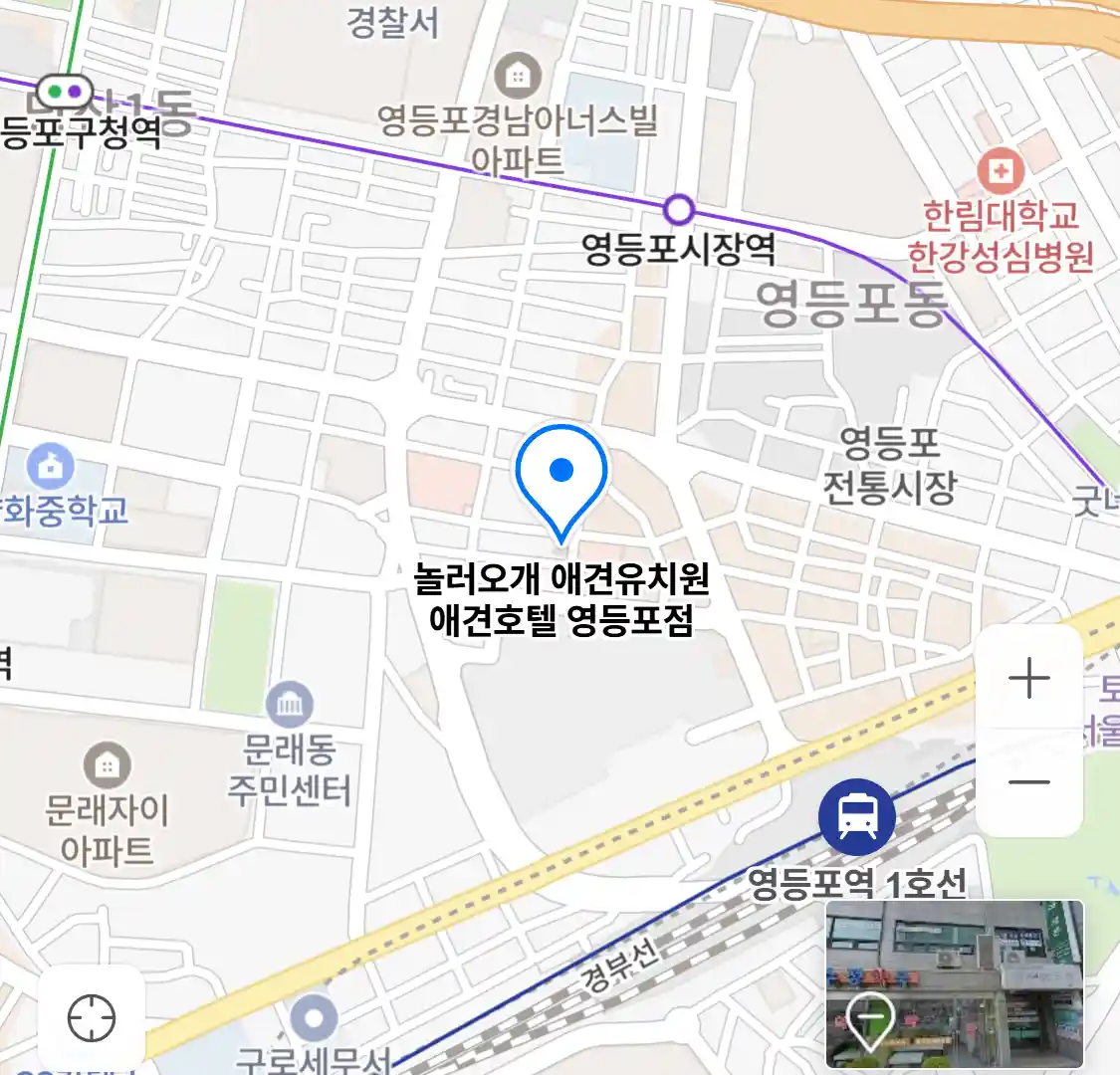 놀러오개 애견유치원 애견호텔 영등포점