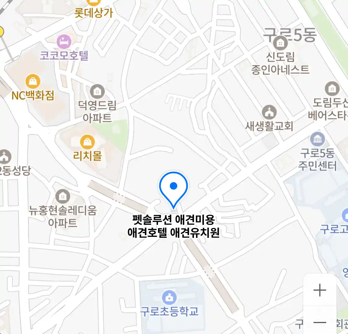 펫솔루션 애견미용 애견호텔 애견유치원