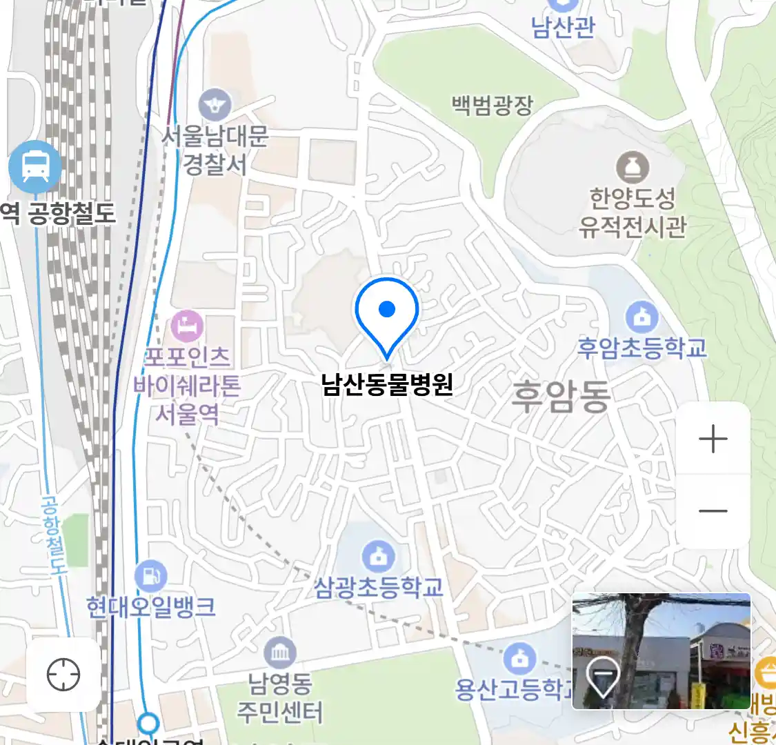 남산동물병원