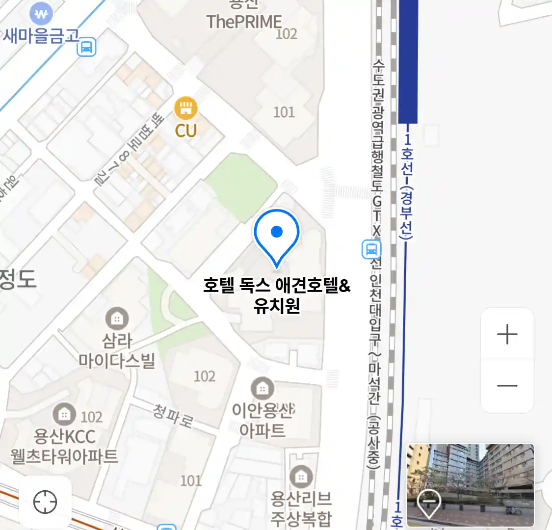 호텔 독스 애견호텔&유치원