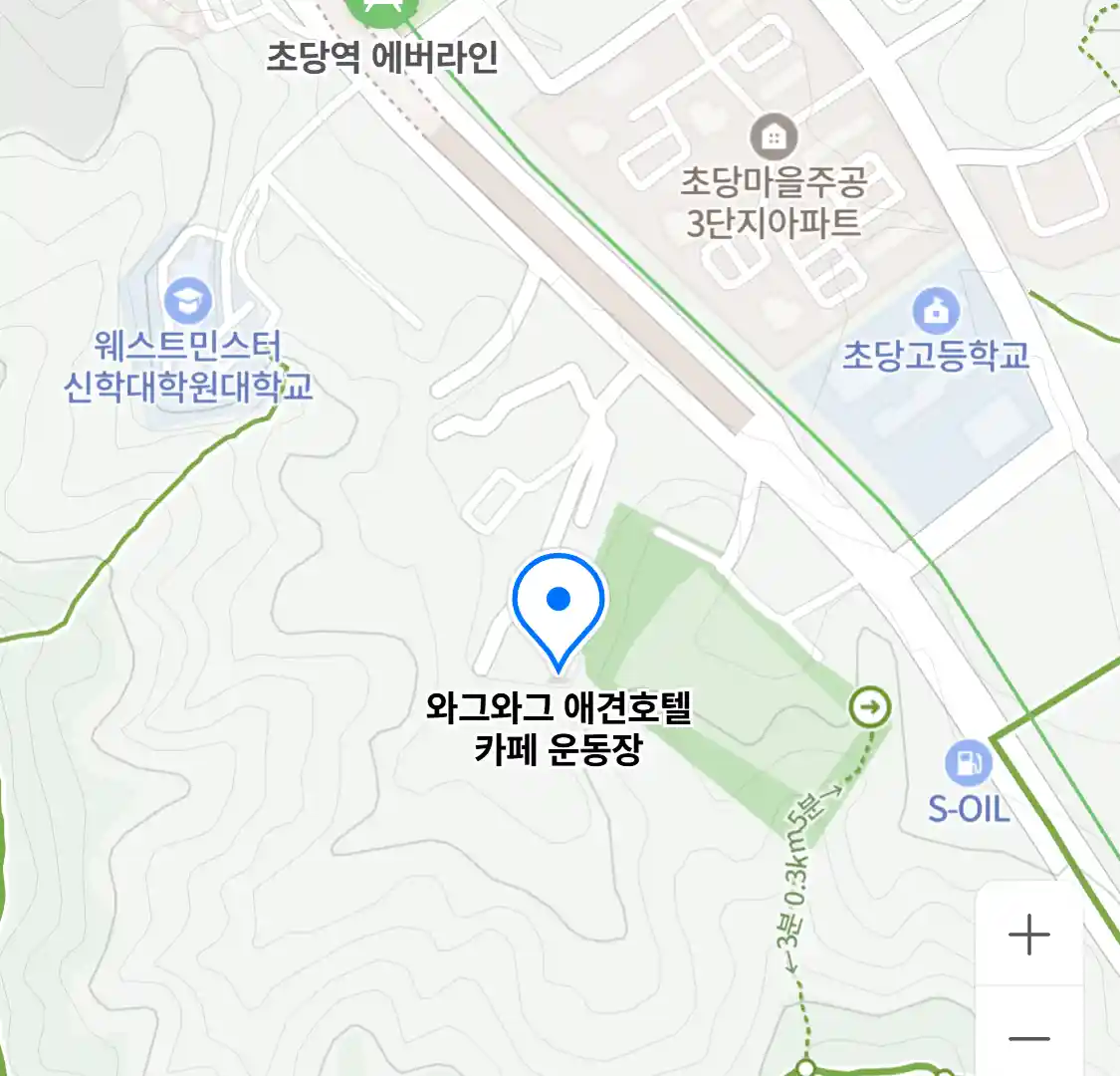 와그와그 애견호텔 카페 운동장