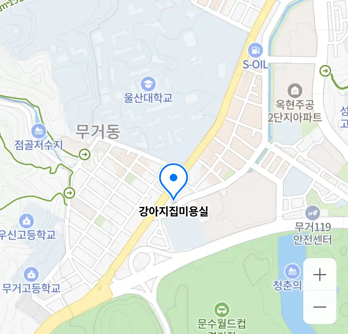 강아지집미용실