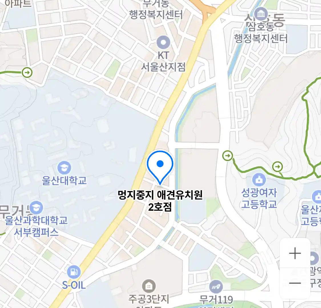 멍지중지 애견유치원 2호점