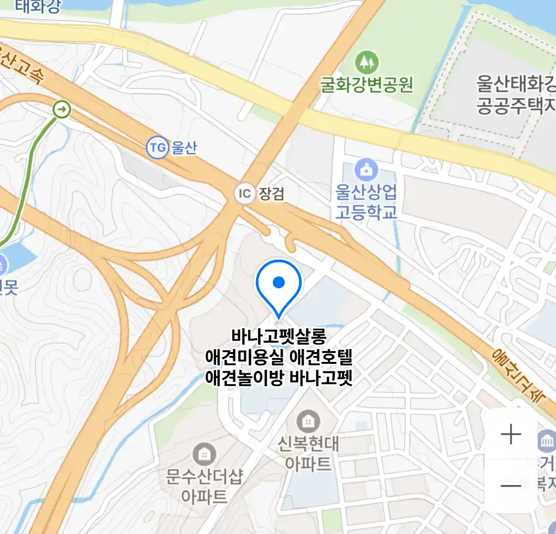 바나고펫살롱 애견미용실 애견호텔 애견놀이방 바나고펫