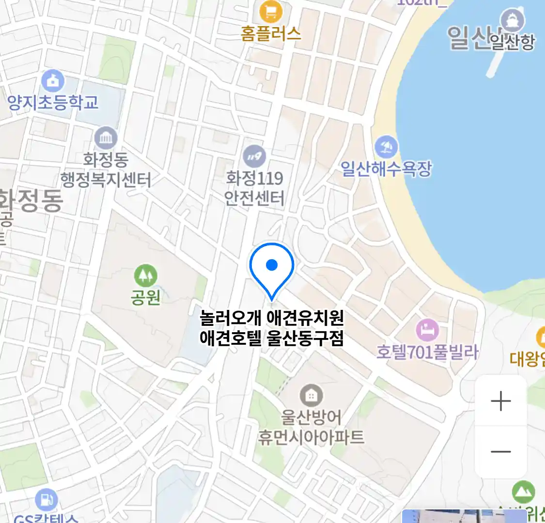 놀러오개 애견유치원 애견호텔 울산동구점