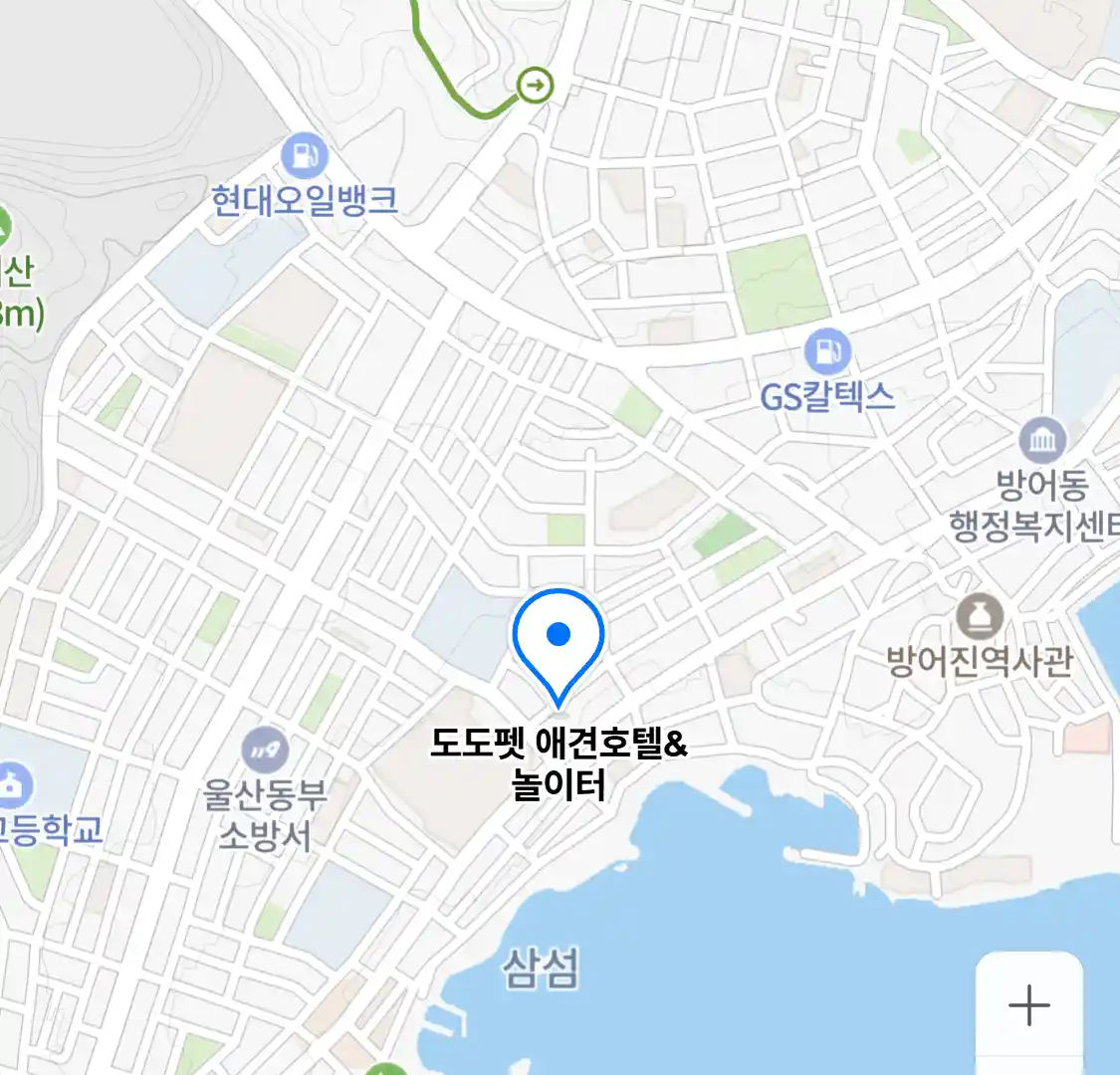 도도펫 애견호텔&놀이터