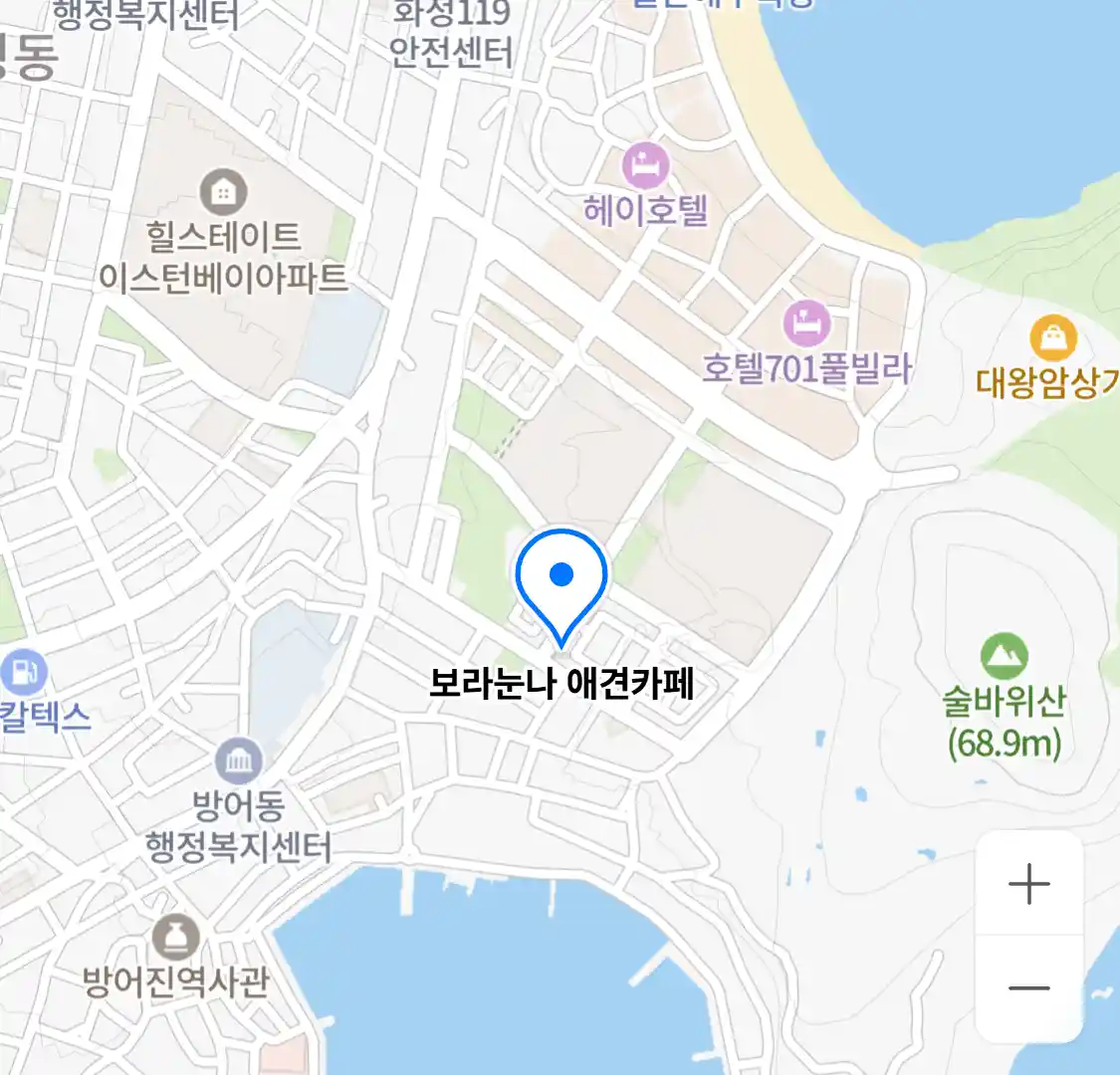보라눈나 애견카페