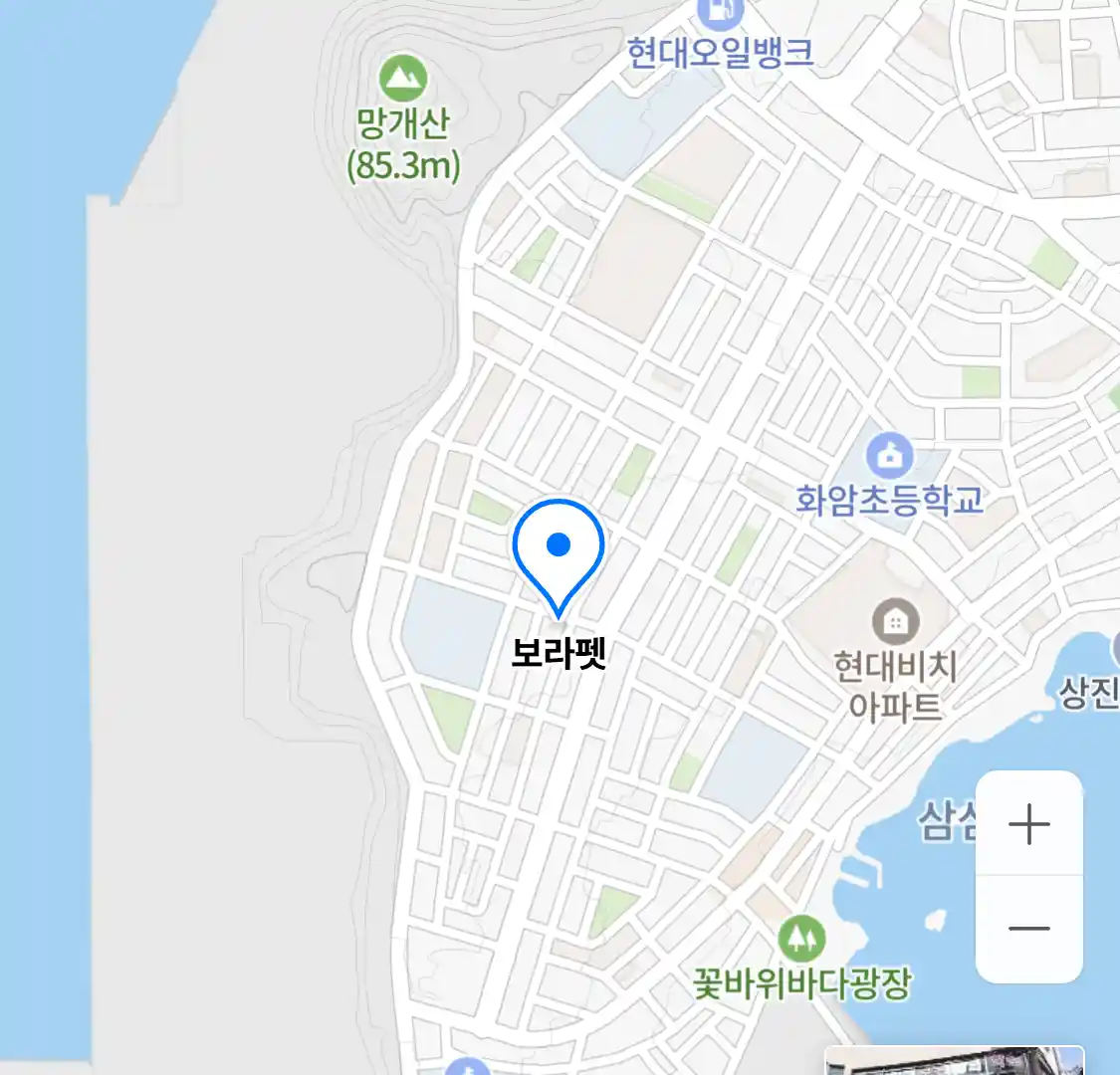 보라펫
