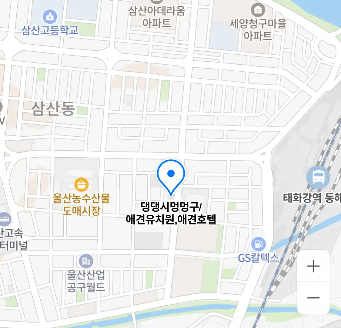 댕댕시멍멍구/애견유치원,애견호텔