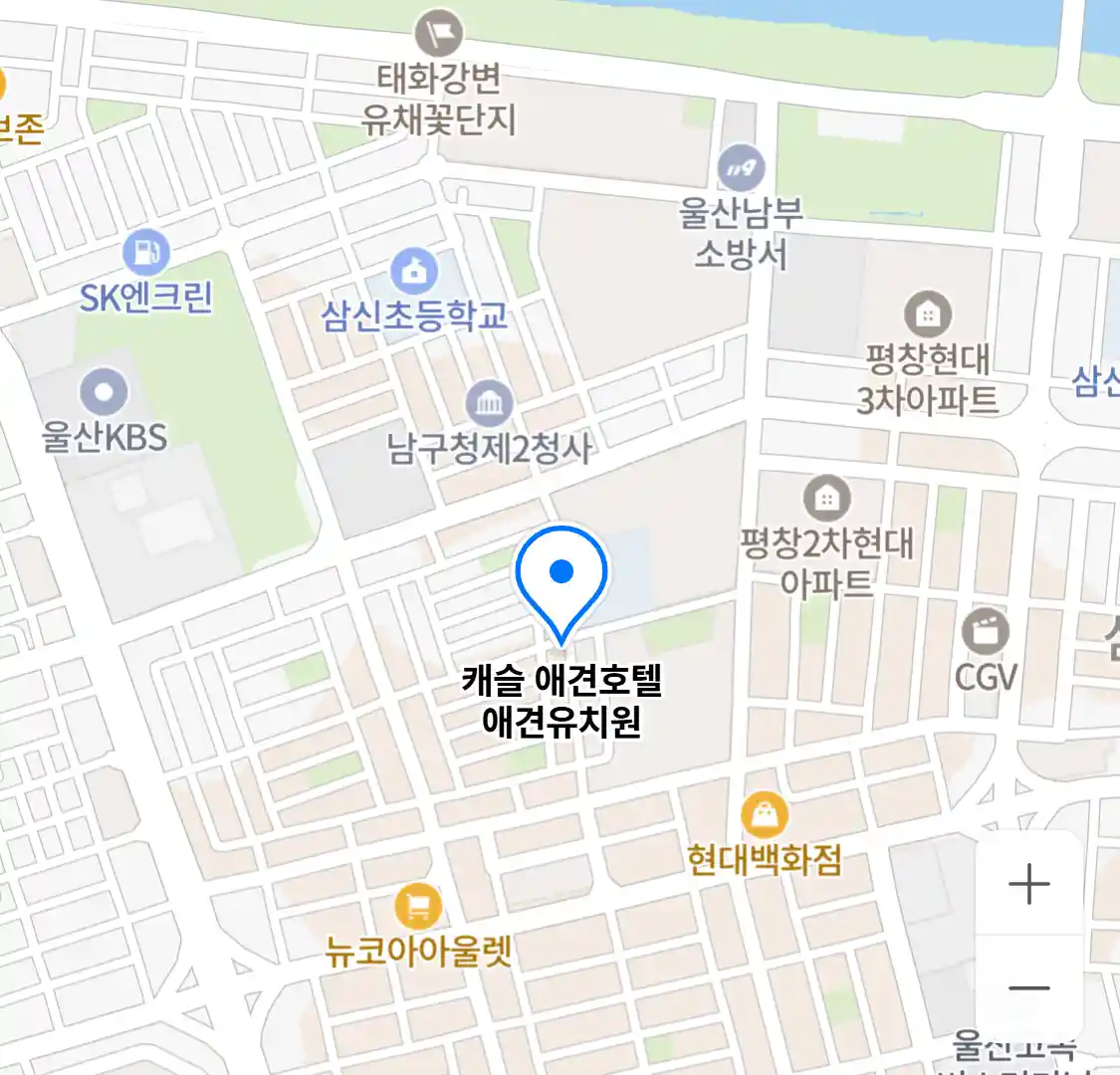 캐슬 애견호텔 애견유치원