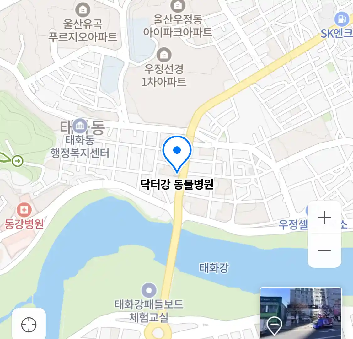 닥터강 동물병원