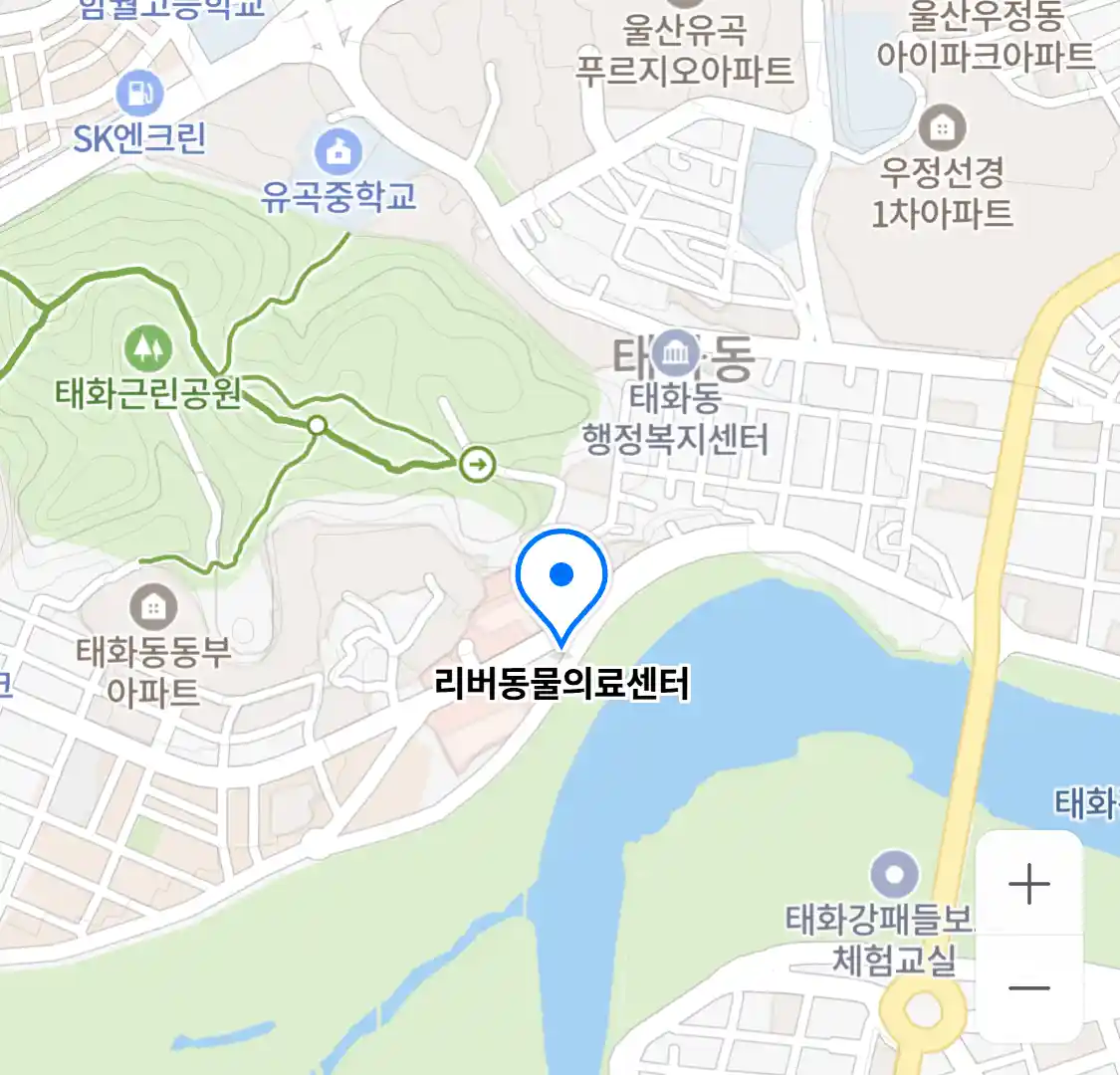 리버동물의료센터