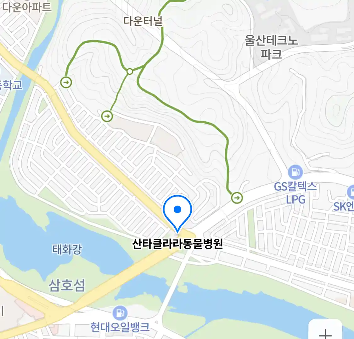 산타클라라동물병원