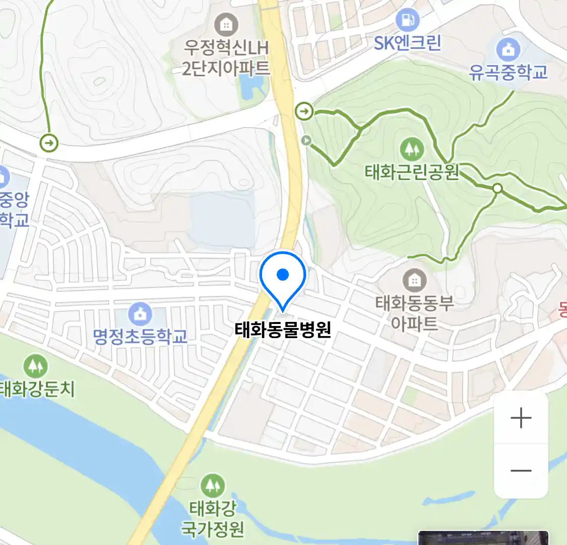 태화동물병원