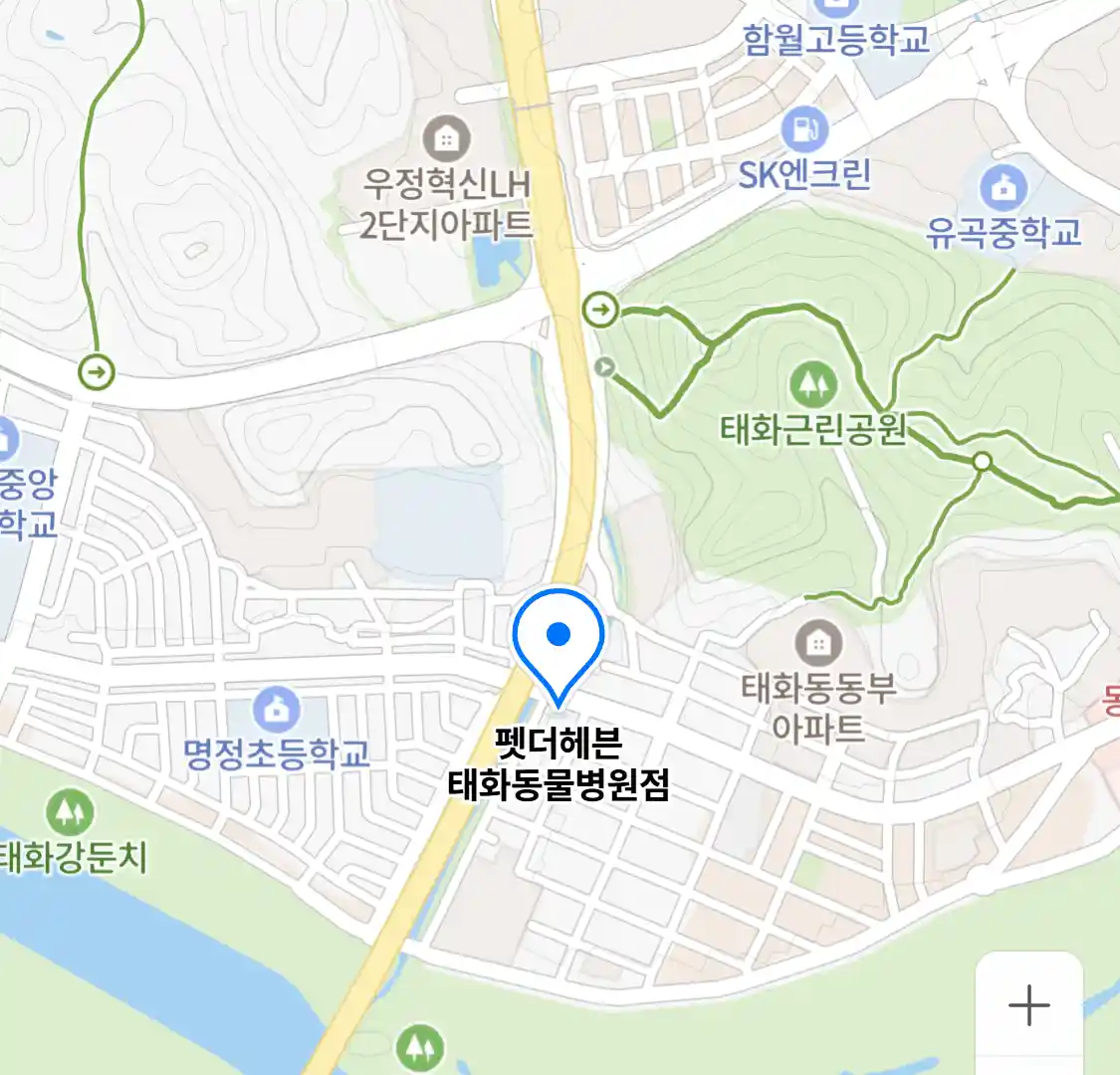 펫더헤븐 태화동물병원점