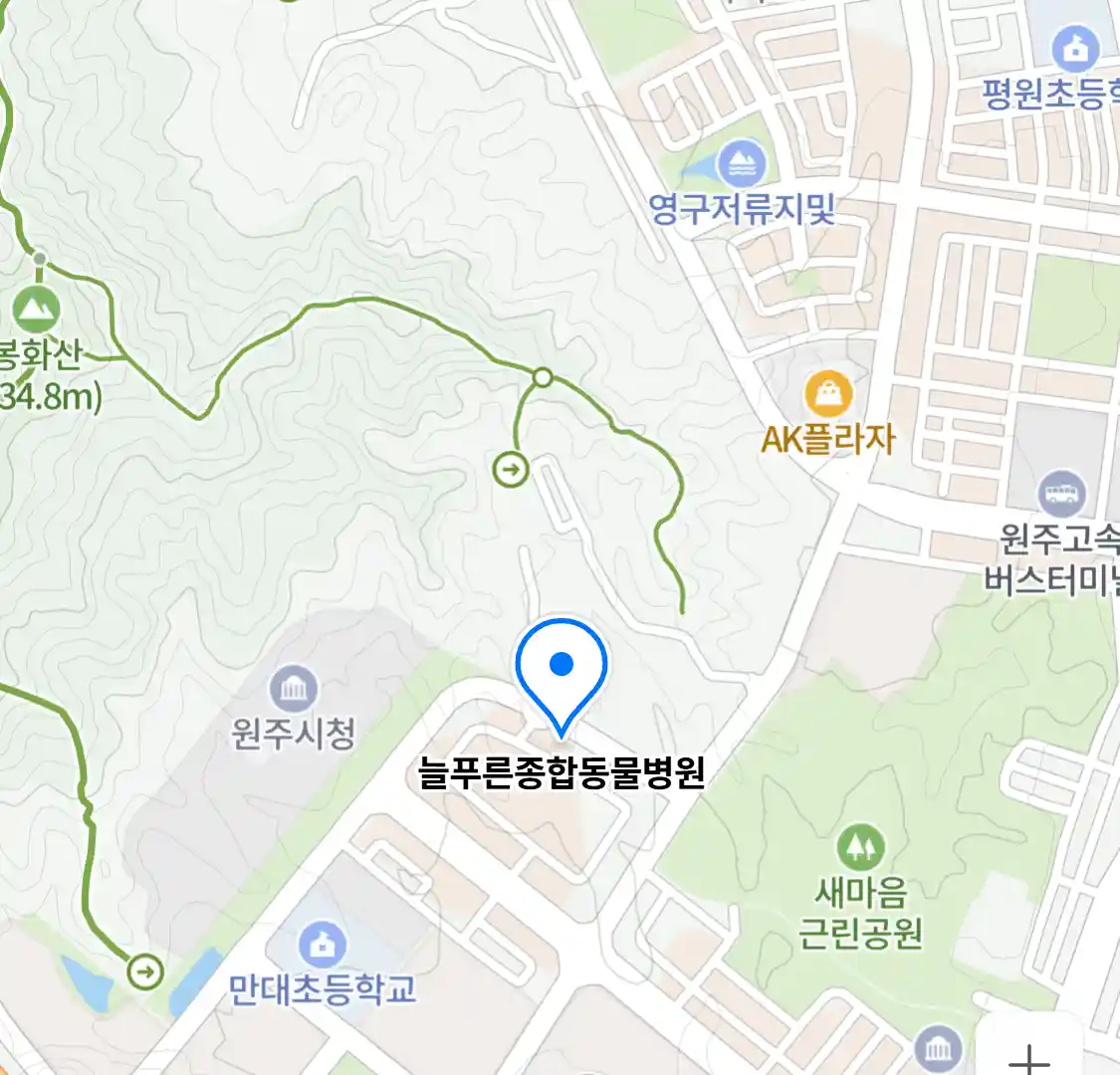 늘푸른종합동물병원