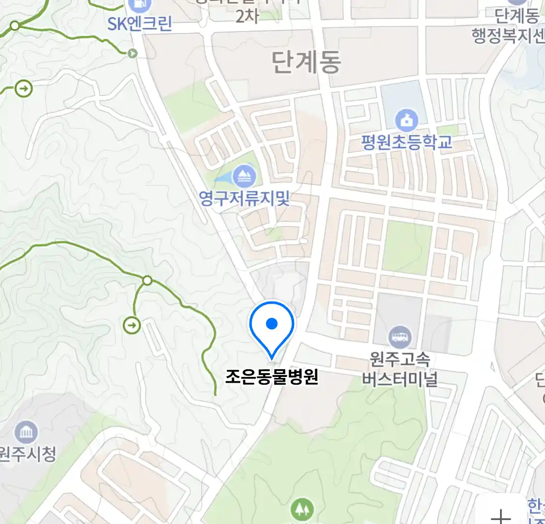 조은동물병원