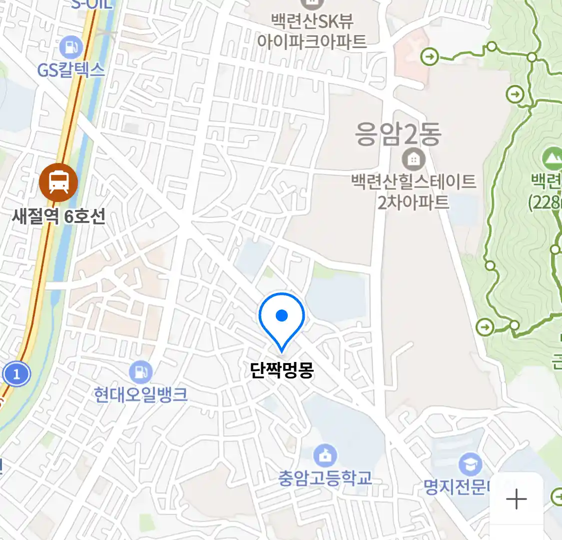 단짝멍몽
