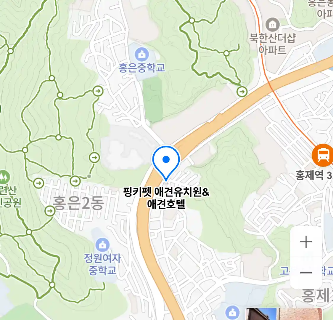 핑키펫 애견유치원&애견호텔