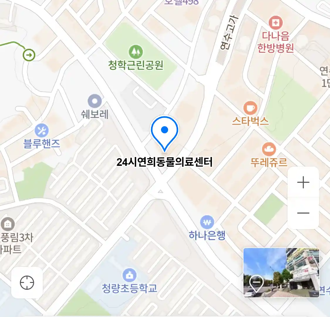 24시연희동물의료센터
