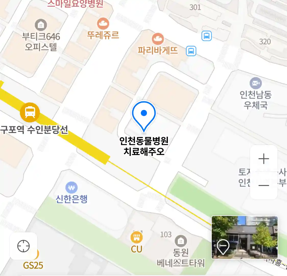 인천동물병원 치료해주오