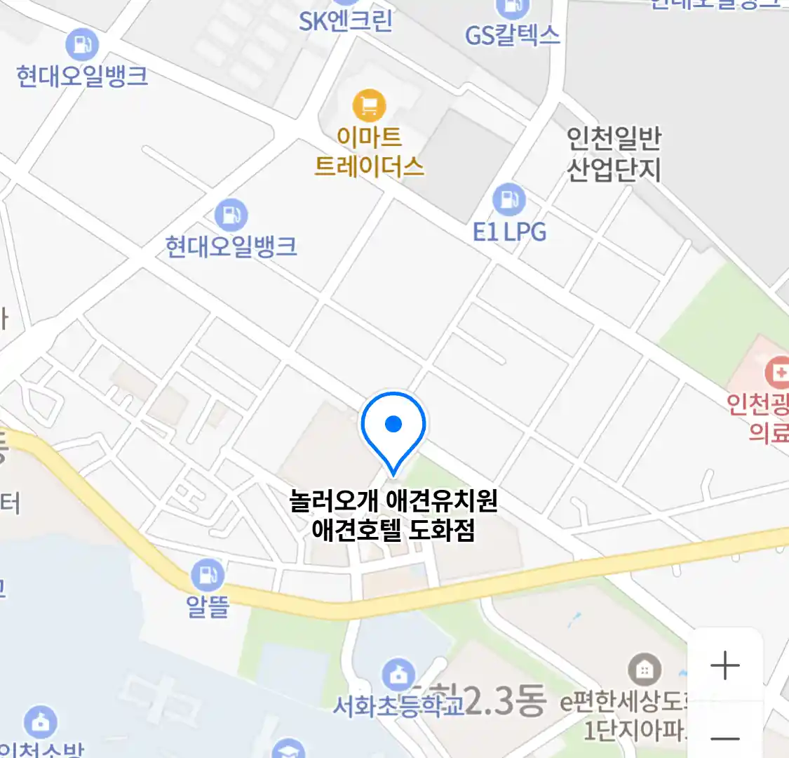 놀러오개 애견유치원 애견호텔 도화점