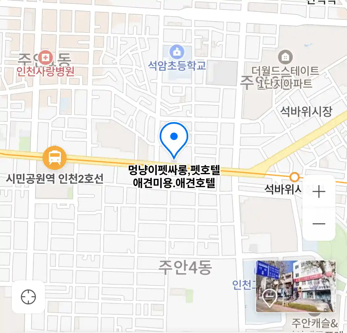 멍냥이펫싸롱,펫호텔 애견미용.애견호텔