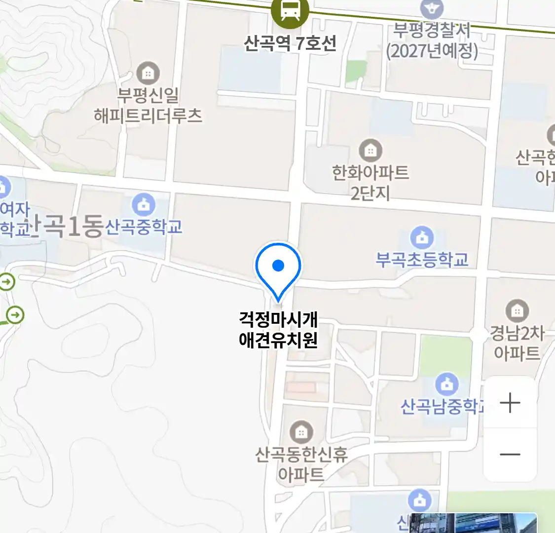 걱정마시개 애견유치원