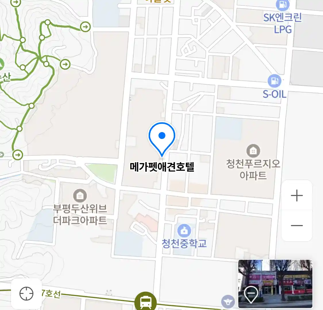 메가펫애견호텔