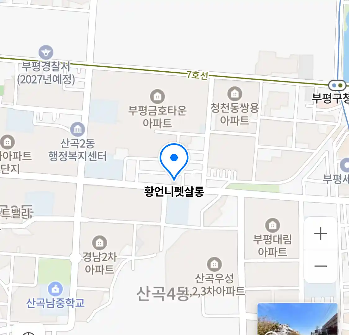 황언니펫살롱