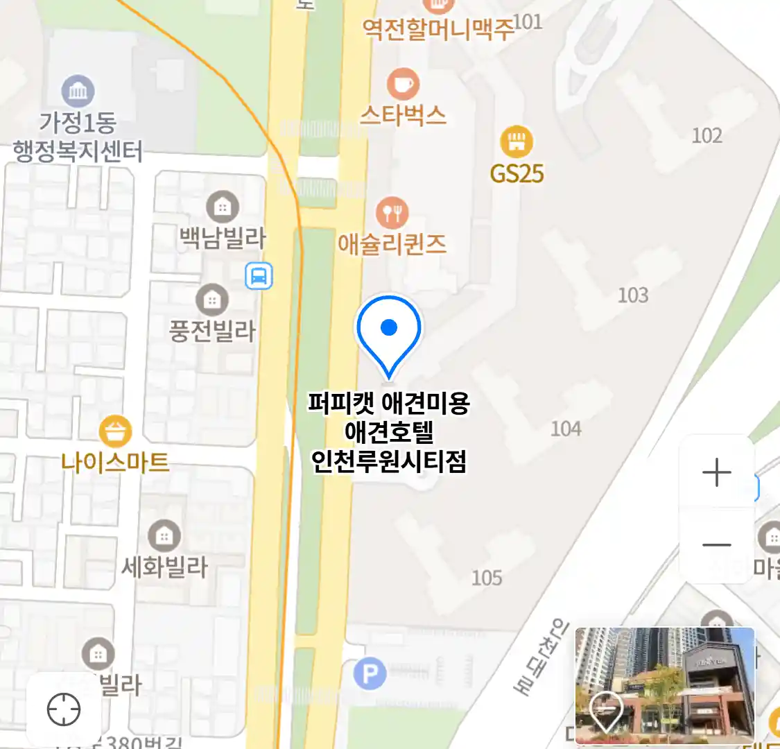 퍼피캣 애견미용 애견호텔 인천루원시티점