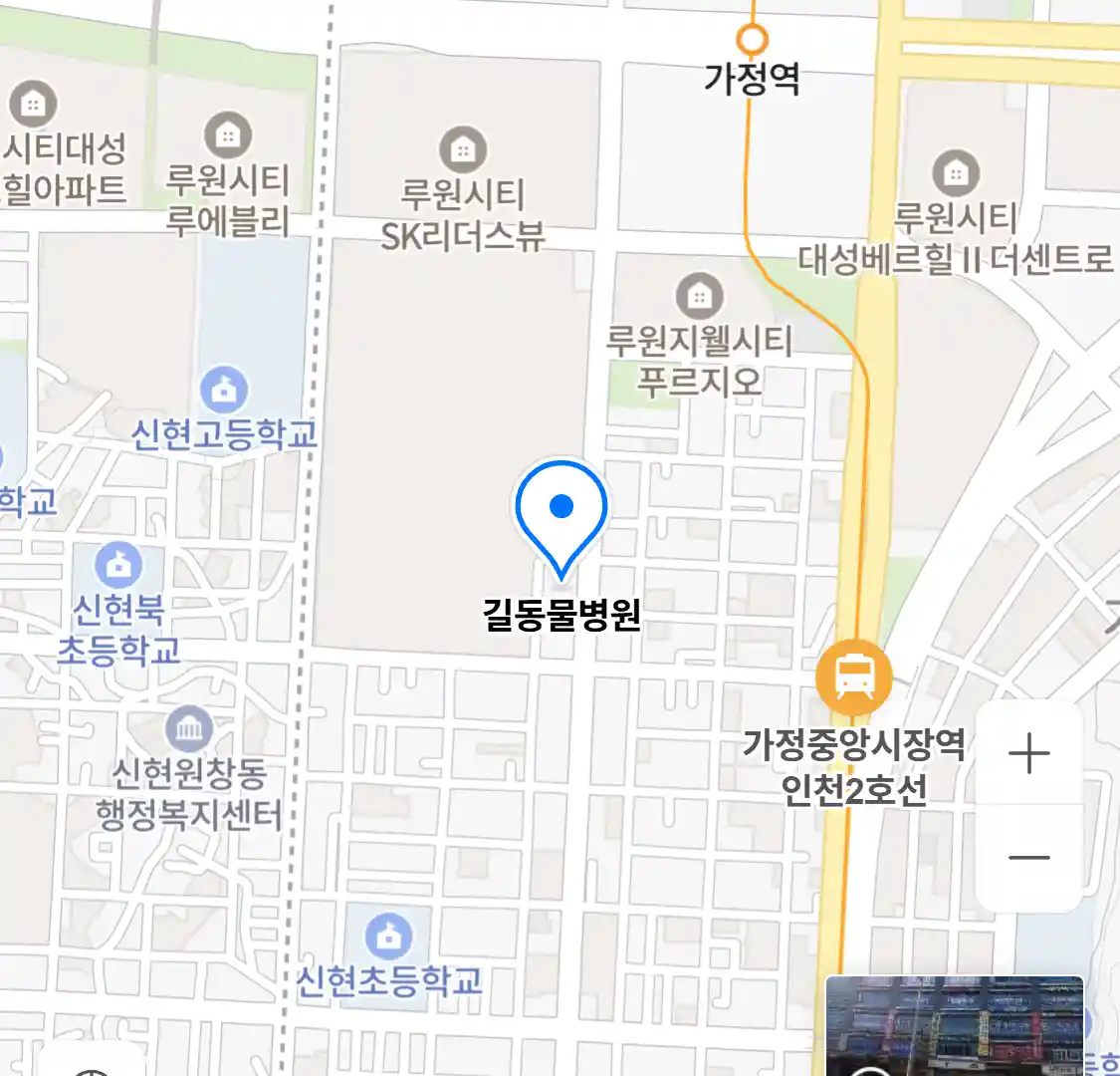 길동물병원