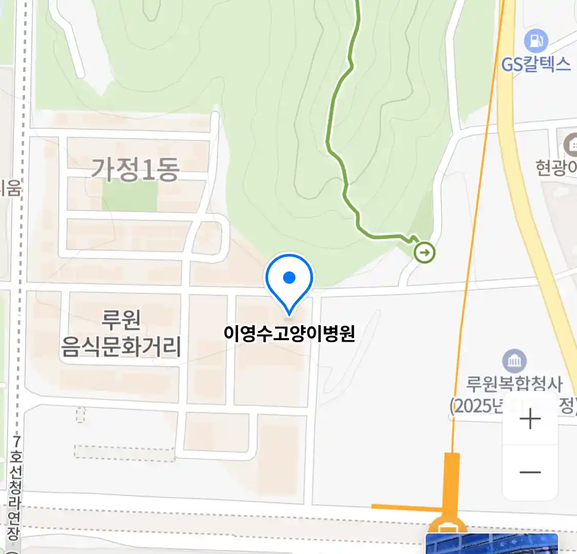 이영수고양이병원