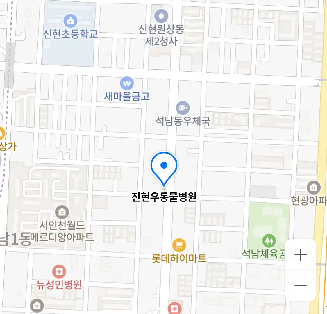 진현우동물병원