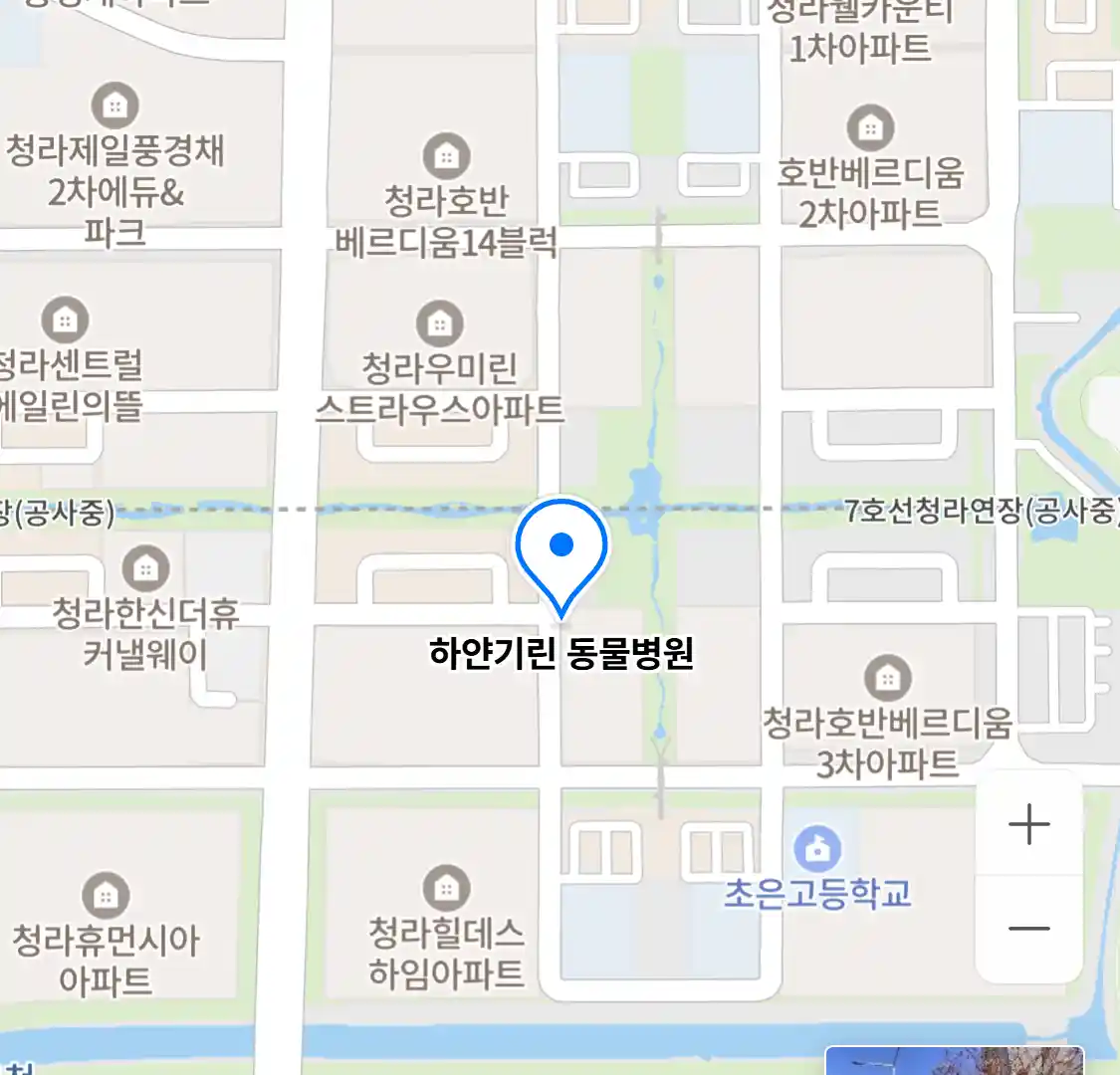 하얀기린 동물병원
