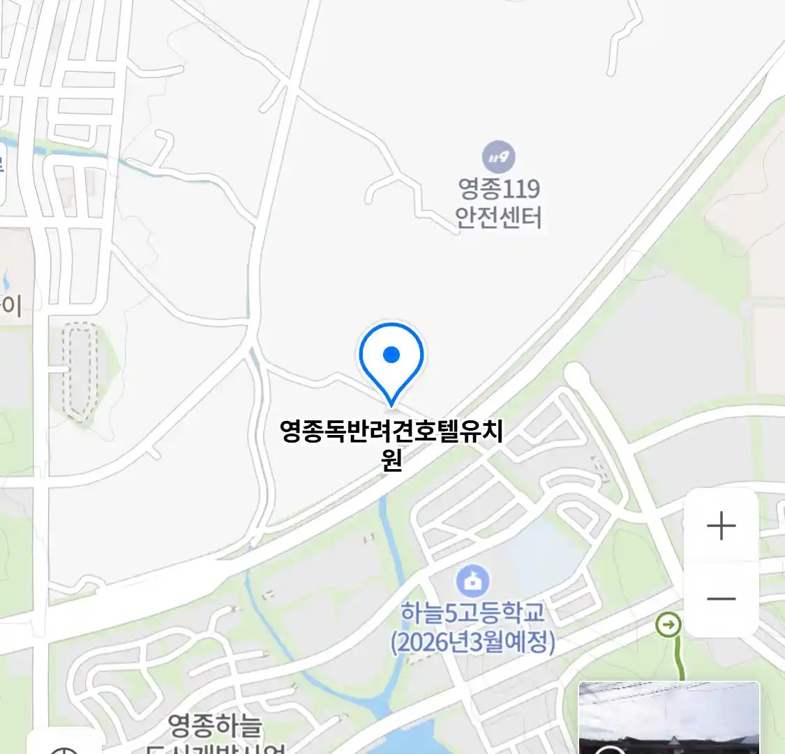 영종독반려견호텔유치원
