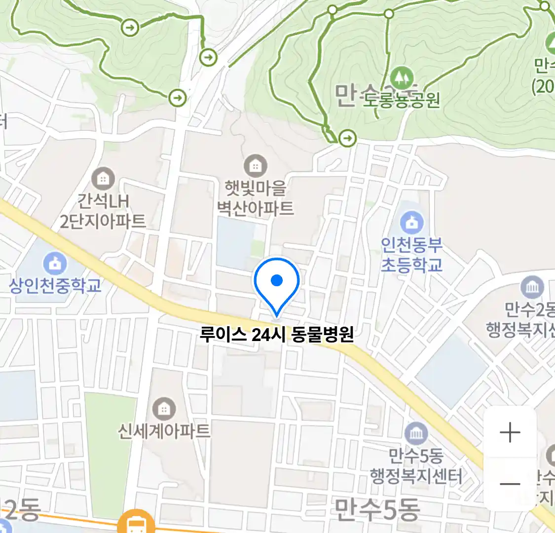 루이스 24시 동물병원