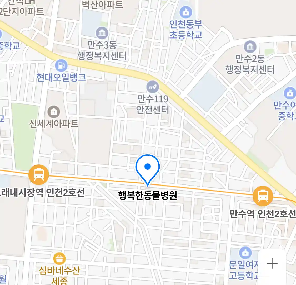 행복한동물병원