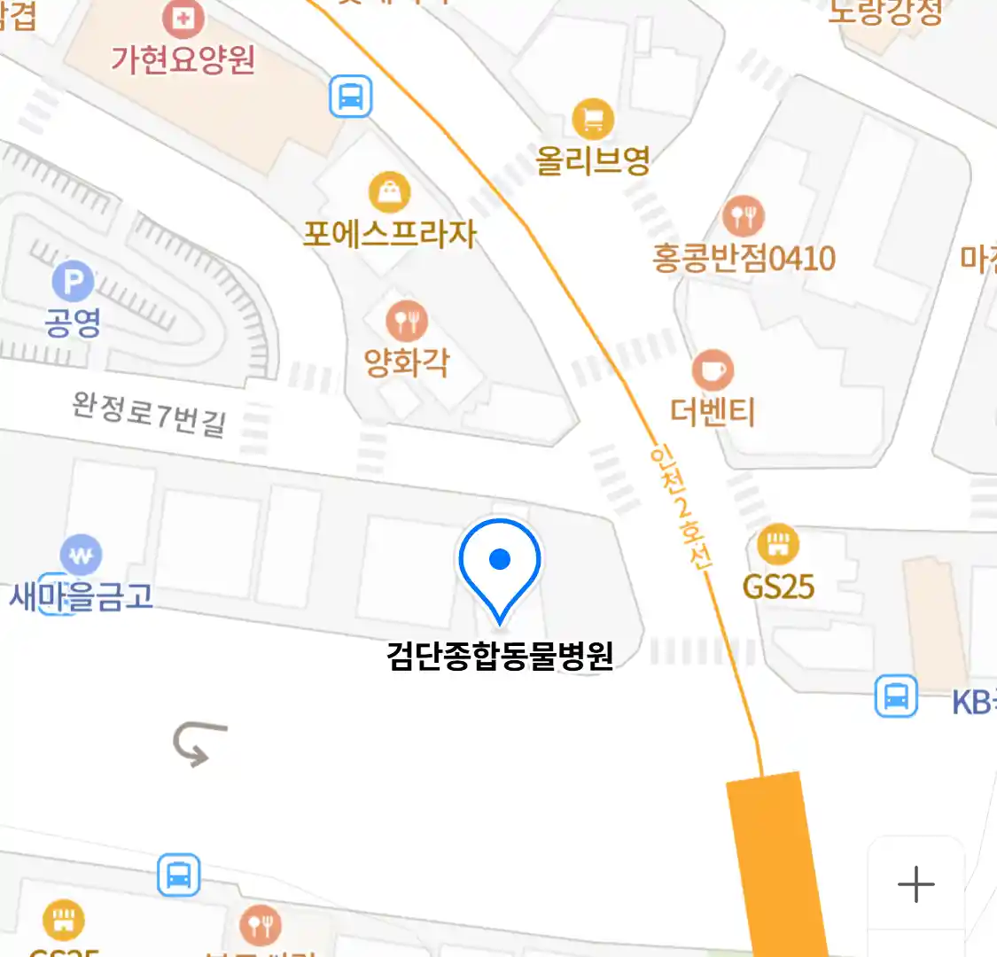 검단종합동물병원