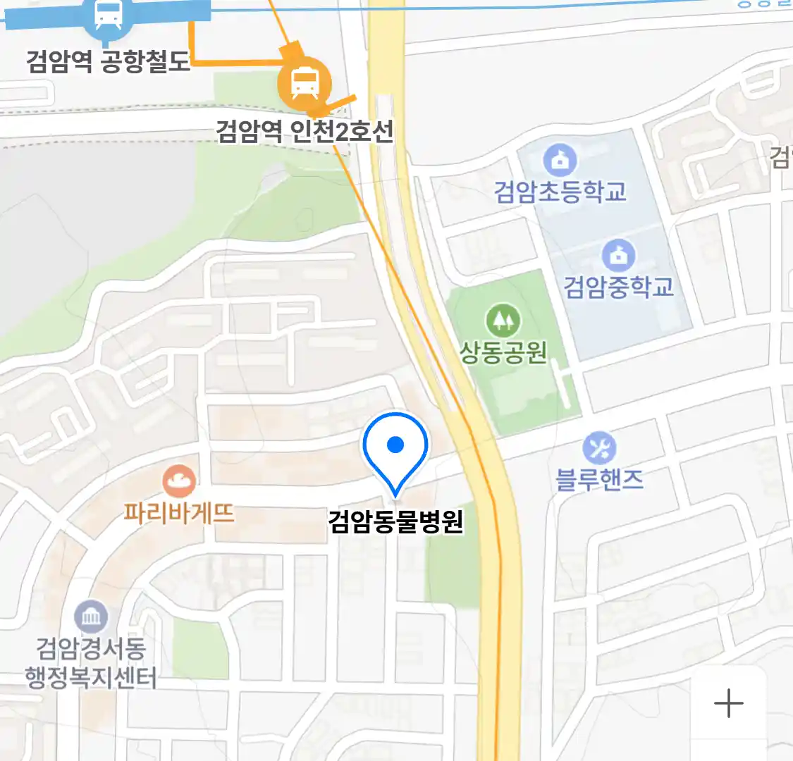 검암동물병원