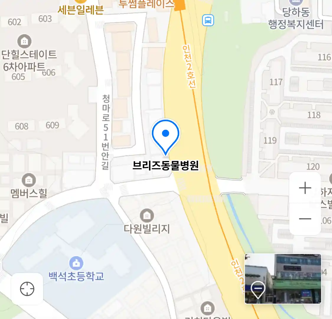 브리즈동물병원
